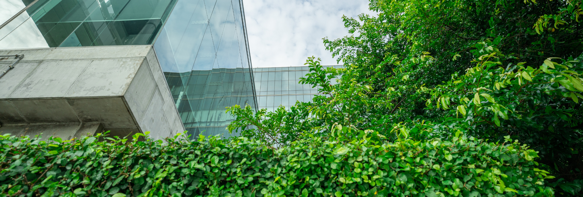 CONFERÊNCIA | SUSTENTABILIDADE NA CONSTRUÇÃO